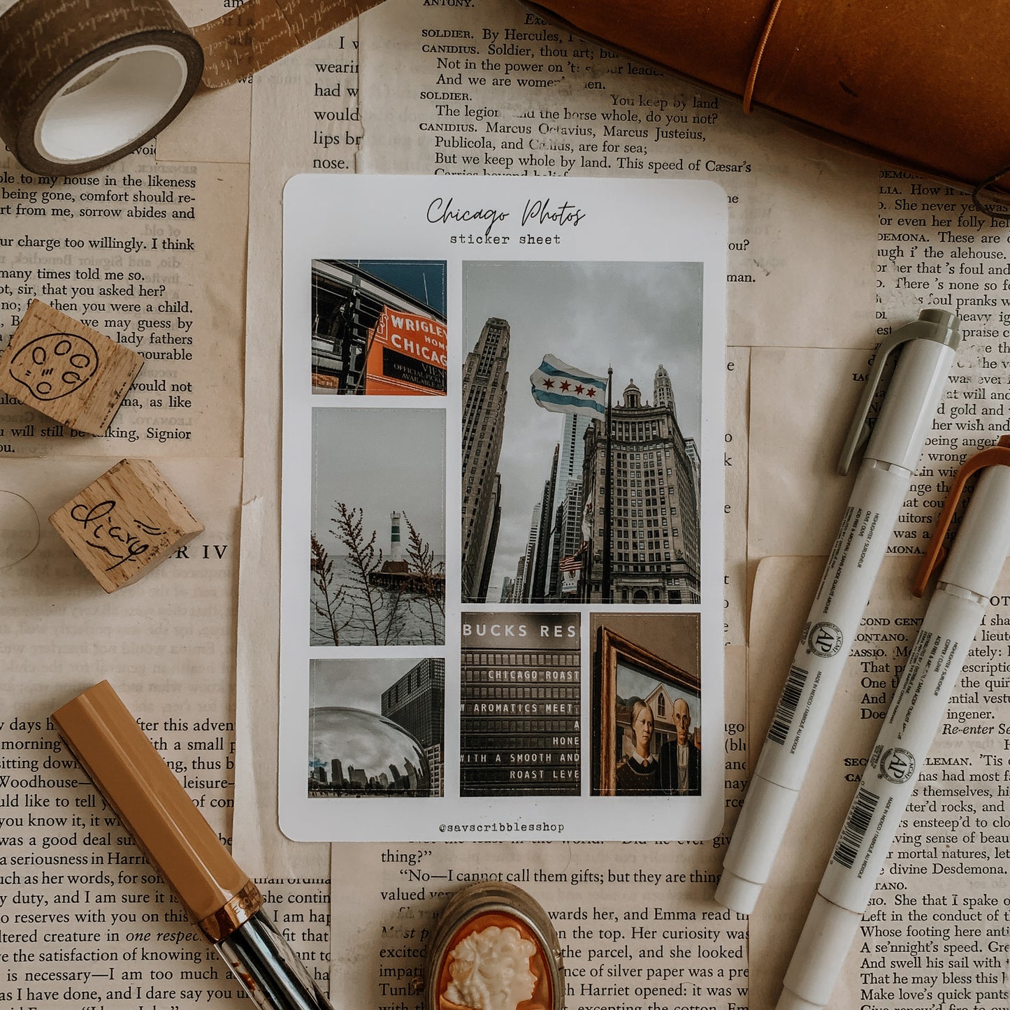 Chicago Photos Sticker Sheet