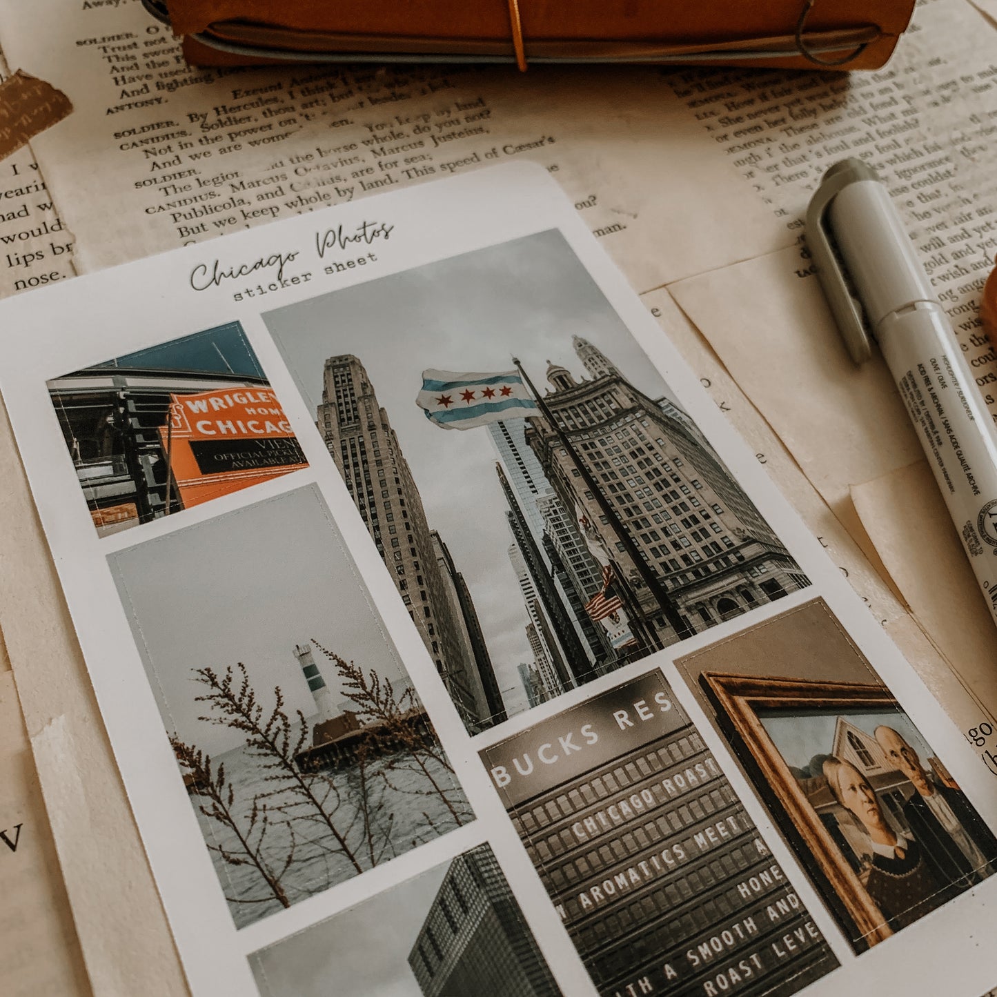 Chicago Photos Sticker Sheet